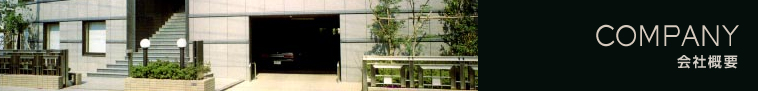 company profile